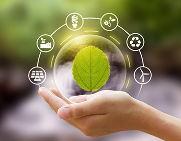 Développement durable
